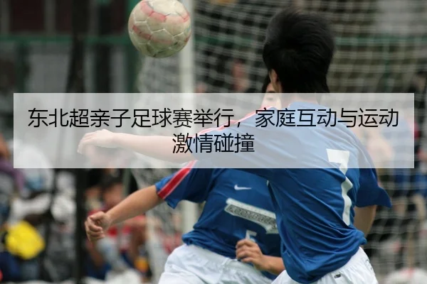 东北超亲子足球赛举行，家庭互动与运动激情碰撞